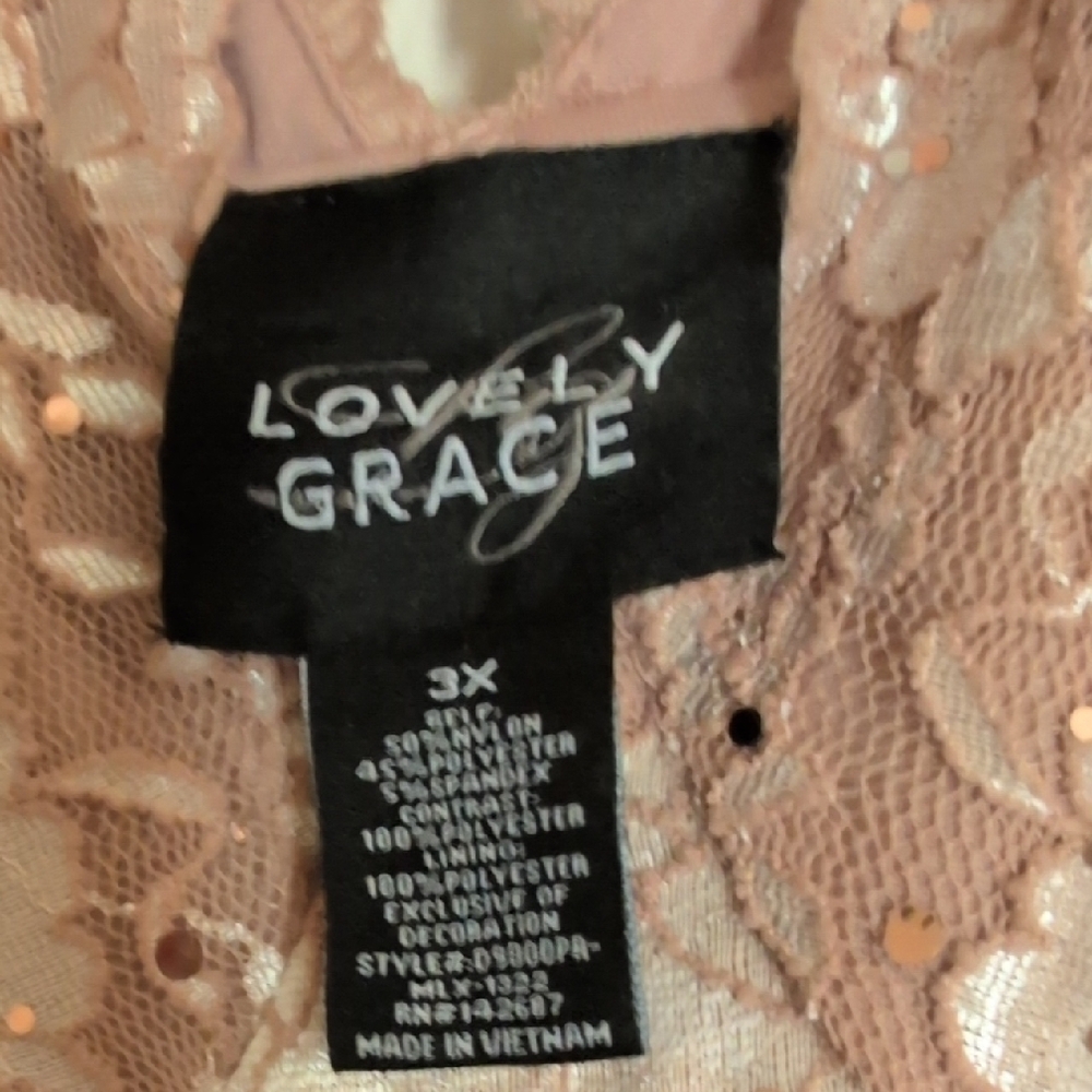 Chic Floral Lace Maxi Dress in Blush NWOT - Picture 8 of 9
